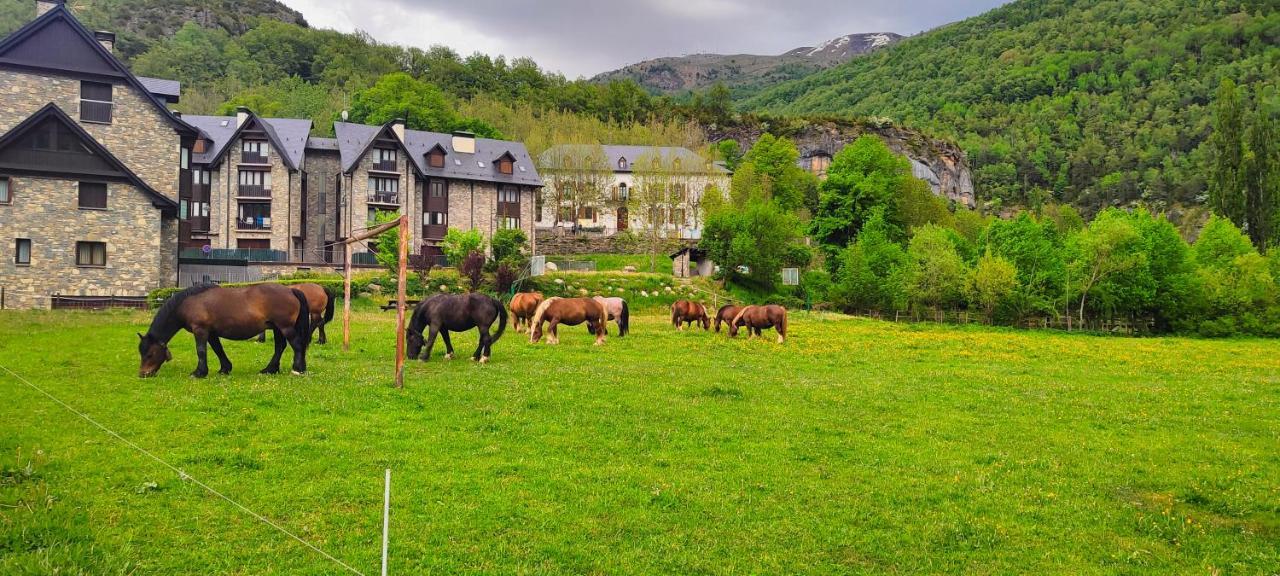 Los Cachorros El Pueyo de Jaca Εξωτερικό φωτογραφία